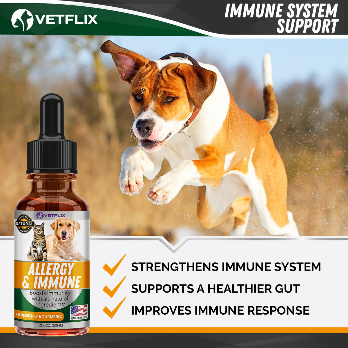 Allergy and Immune Support for Dogs and Cats