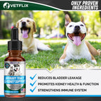 Vetflix UTI & Kidney Support for Dogs & Cats