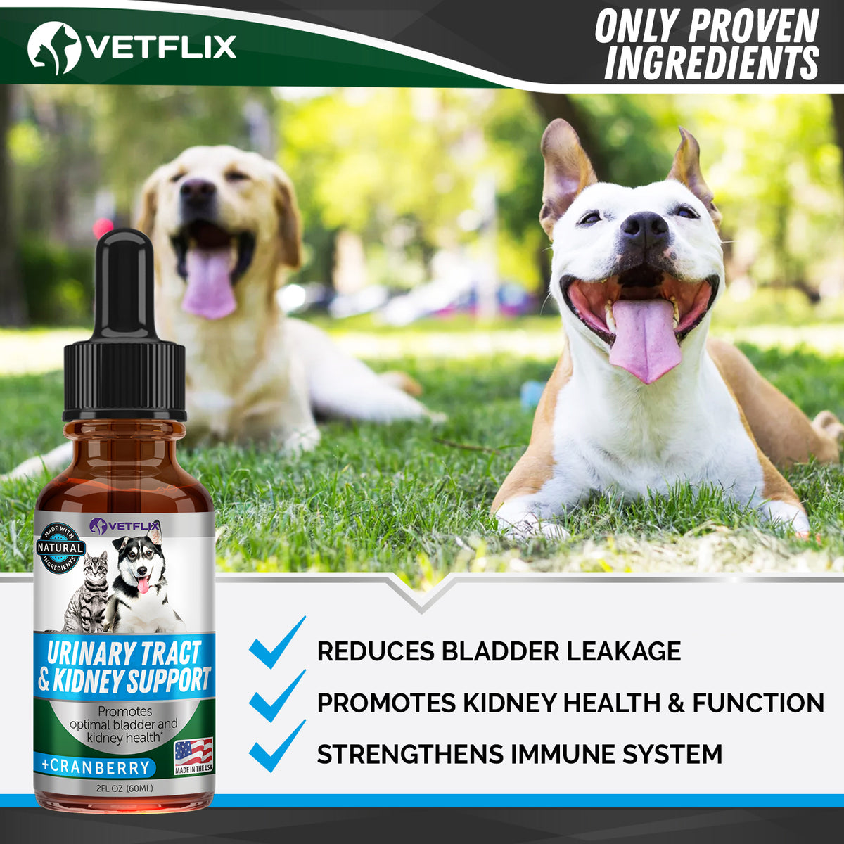 Vetflix UTI & Kidney Support for Dogs & Cats