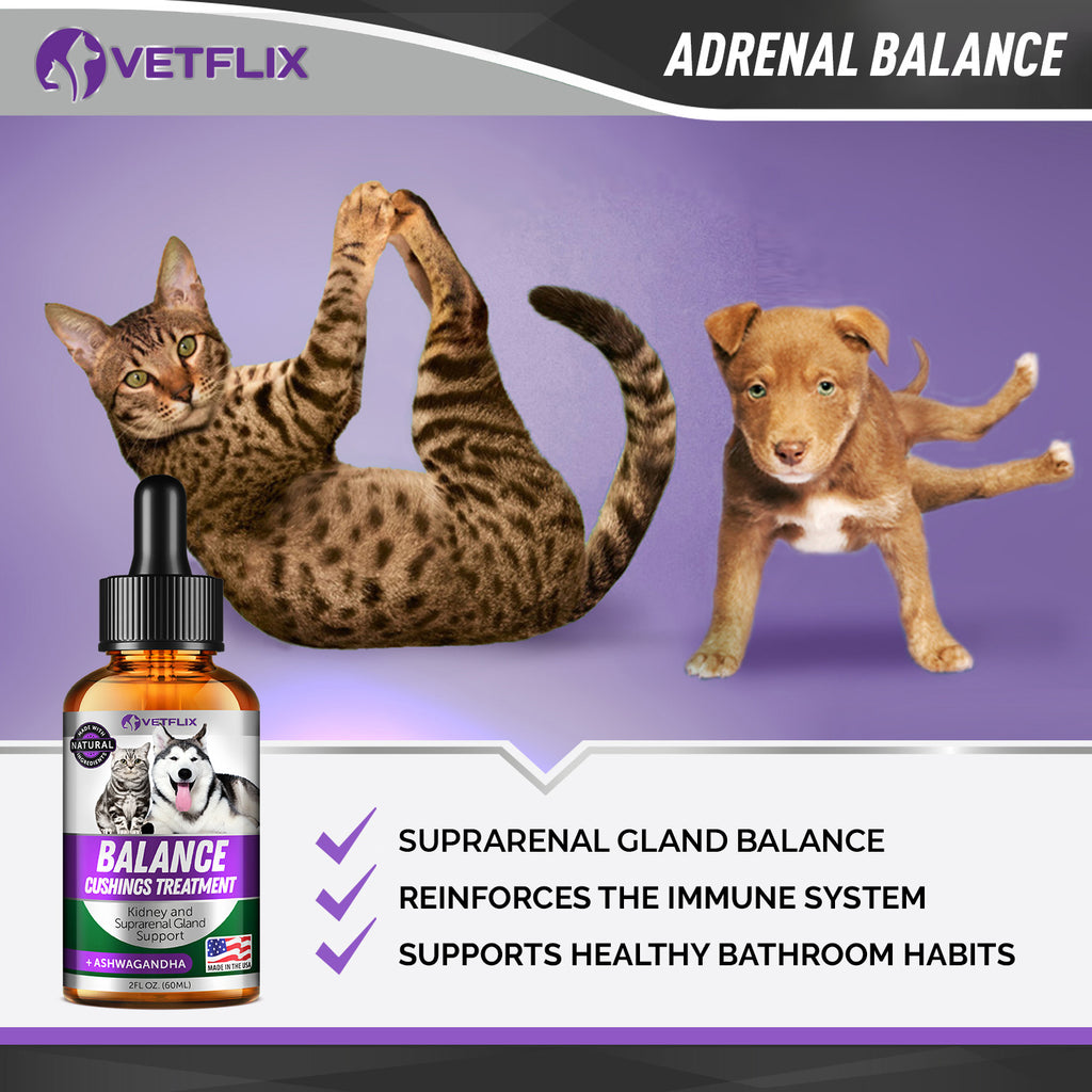 Adrenal & Kidney Balance for Cats and Dogs