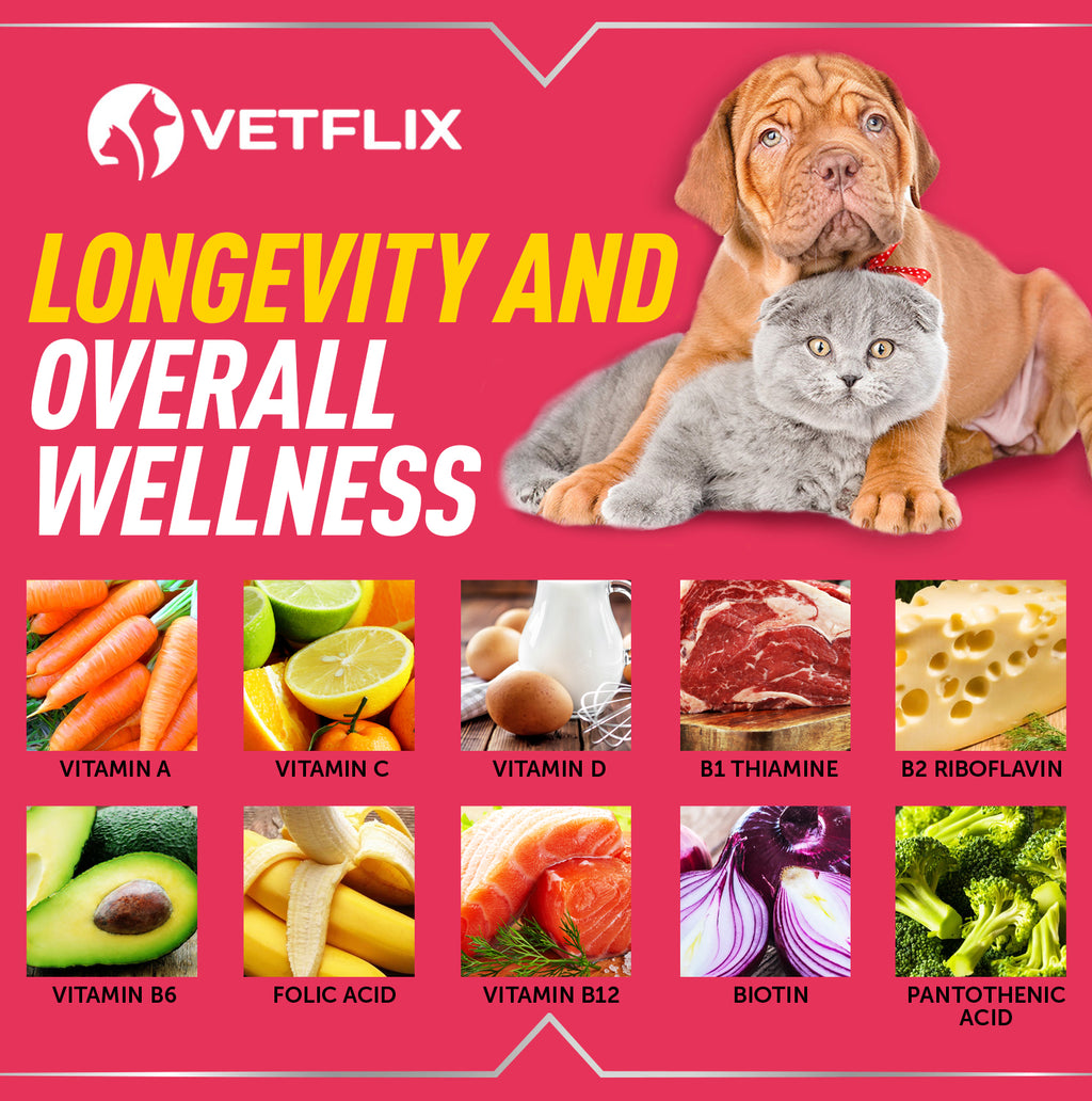 10-in-1 Multivitamin for Cats and Dogs