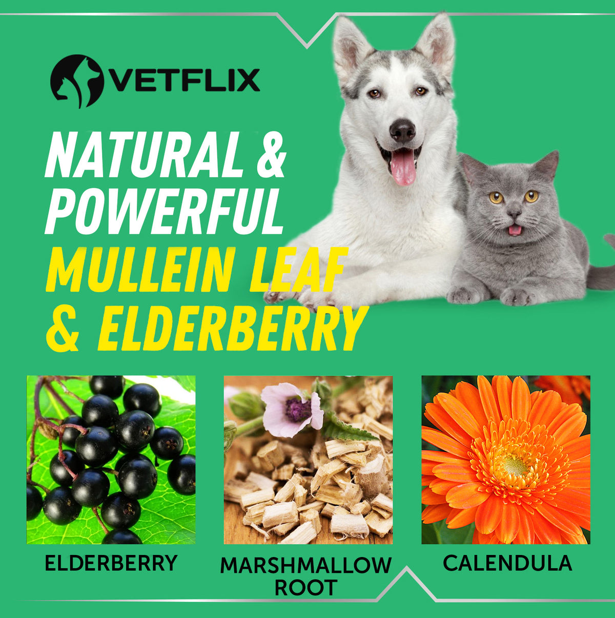 Cough & Throat Soother for Dogs and Cats