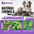 Adrenal & Kidney Balance for Cats and Dogs