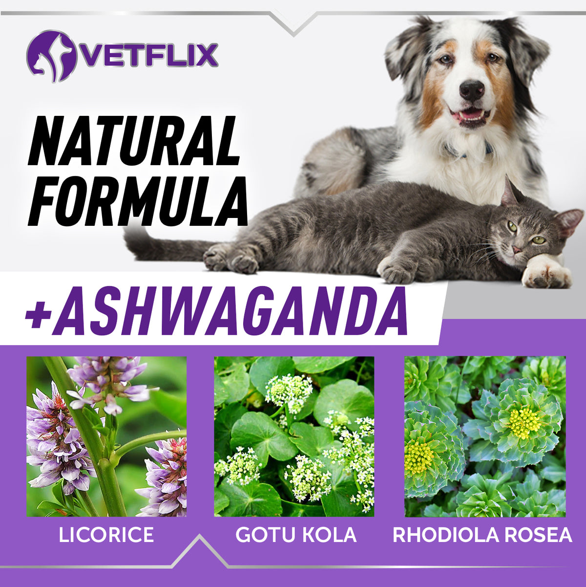 Adrenal & Kidney Balance for Cats and Dogs