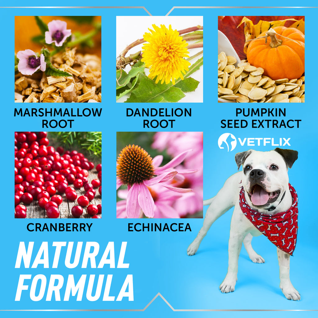Vetflix UTI & Kidney Support for Dogs & Cats