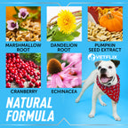 Vetflix UTI & Kidney Support for Dogs & Cats