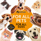 Allergy and Immune Support for Dogs and Cats