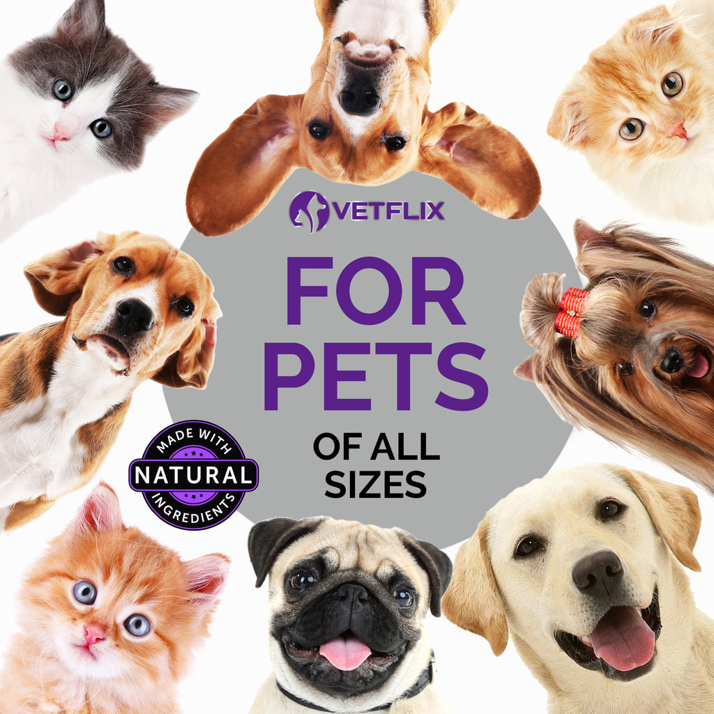 Adrenal & Kidney Balance for Cats and Dogs