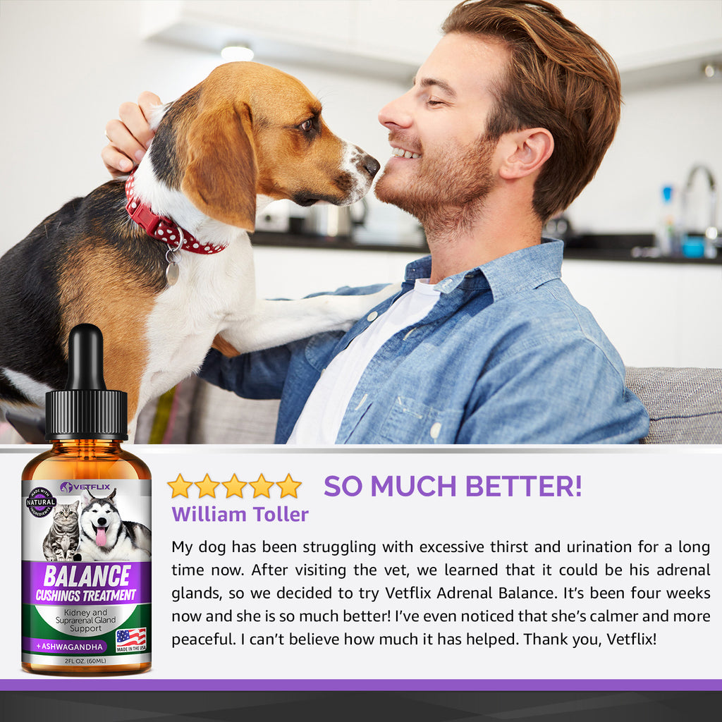 Adrenal & Kidney Balance for Cats and Dogs