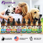 10-in-1 Multivitamin for Cats and Dogs