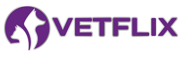 Vetflix Pets
