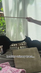 Vetflix UTI & Kidney Support for Dogs & Cats