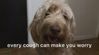 Cough & Throat Soother for Dogs and Cats
